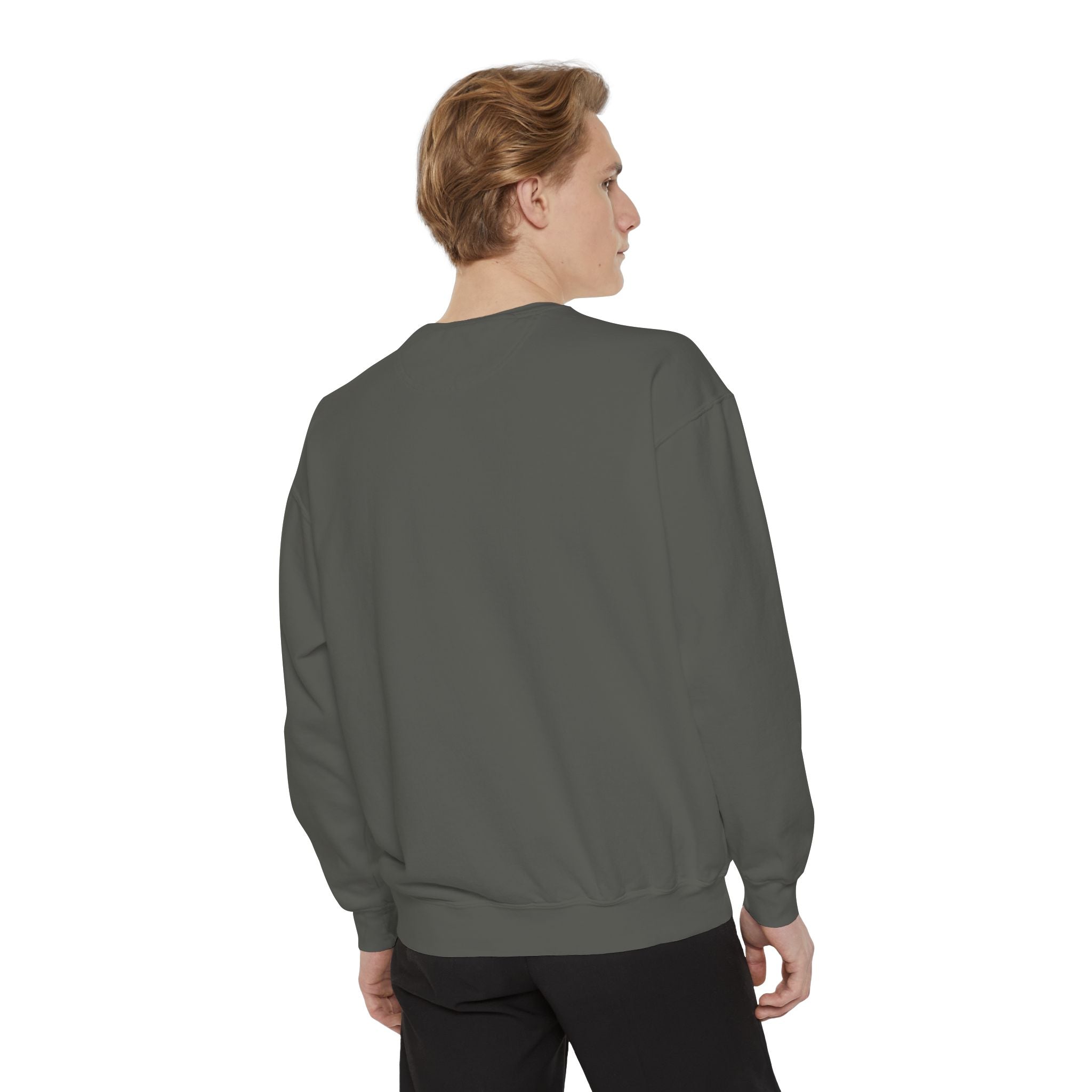 Patriotic Eagle Sweatshirt — Land of the Free Graphic Crewneck