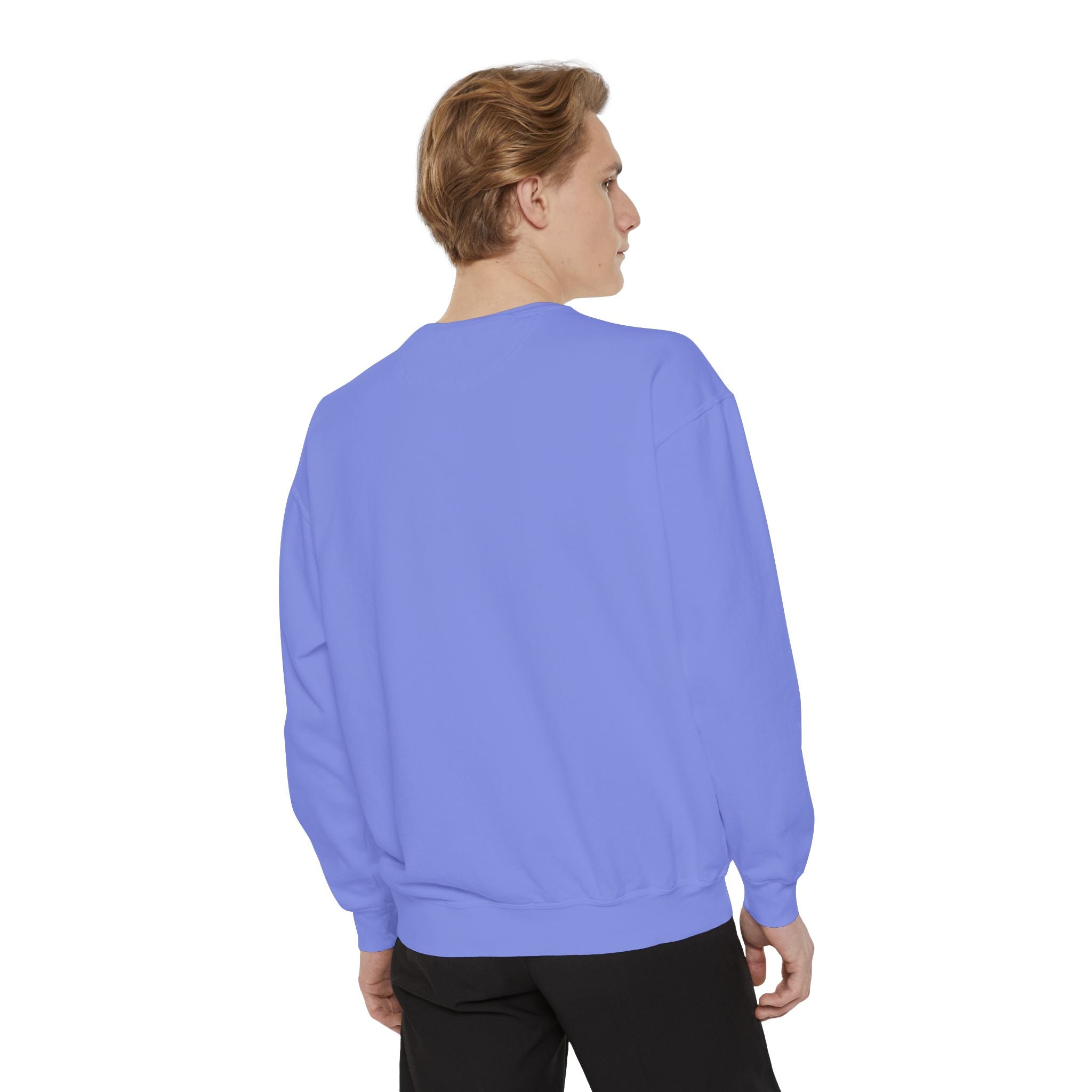 Patriotic Eagle Sweatshirt — Land of the Free Graphic Crewneck